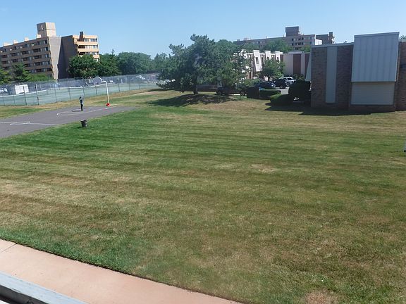 Deck Overlooks Back Yard!