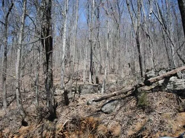 2403 Newsome Gap Rd, Rising Fawn, GA 30738