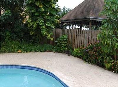 5th image of 8704 SW 55th St