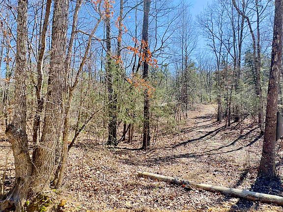 4th image of 22 Red Lamb Rd