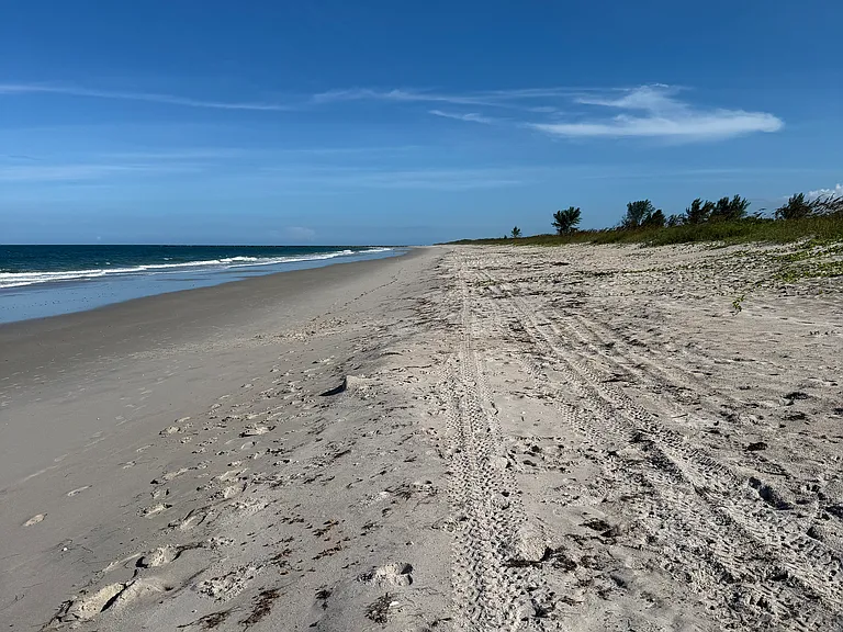 2503 N Ocean Dr — Photo 27