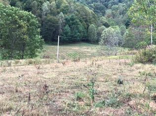 651 Rector Branch Rd, Marshall, NC 28753