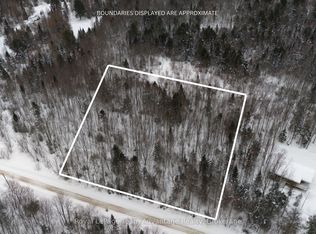 0 Lakeview Dr E, Ryerson, ON P0A 1C0