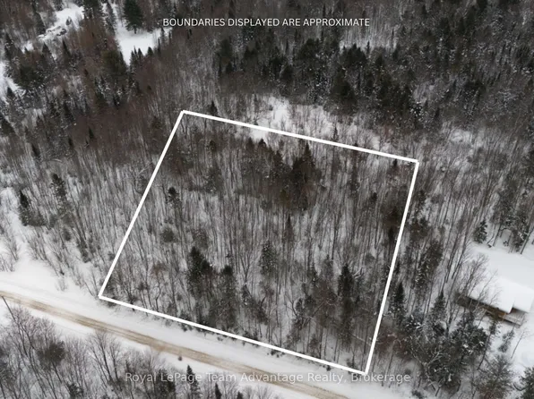 0 Lakeview Dr E, Ryerson, ON P0A 1C0