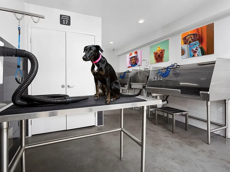 WAG Pet Spa