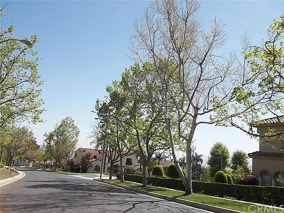 Mature trees throughout the community.