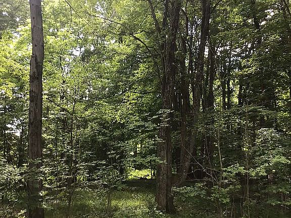 2nd image of 136 S Rock Rd