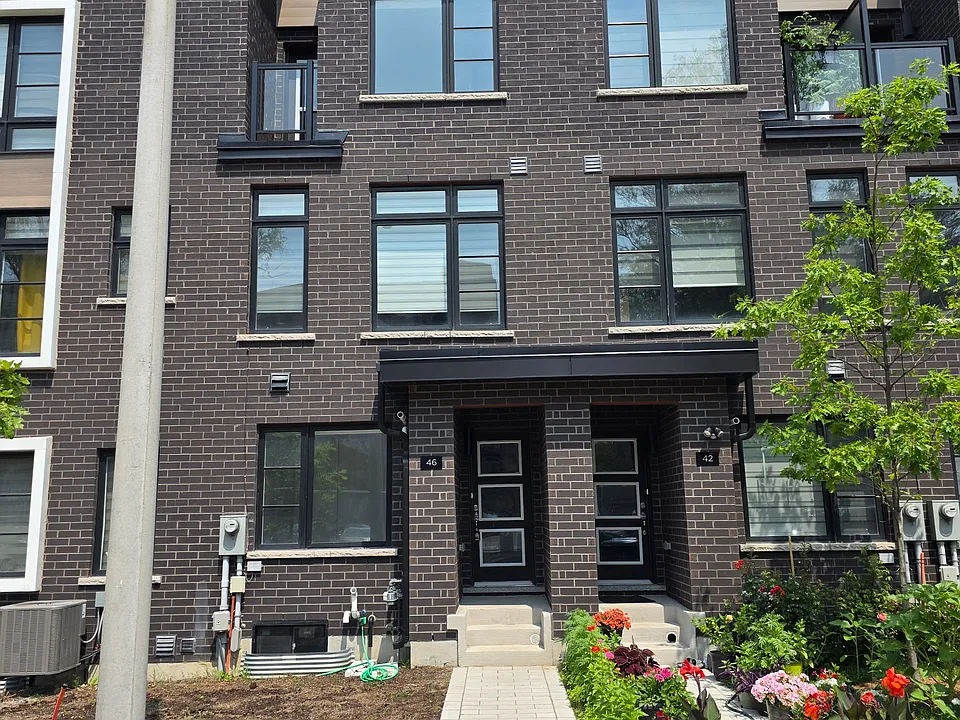 46 Akil Thomas Gdns S