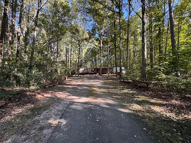 3 bed, 980 sqft, $1,500 — Photo 3