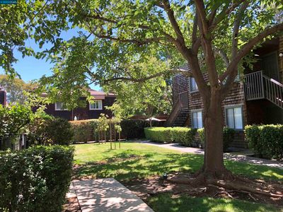 1191 Honey Trl, Walnut Creek, CA, 94597