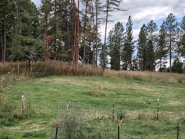 245 Frontier Trl — Photo 36