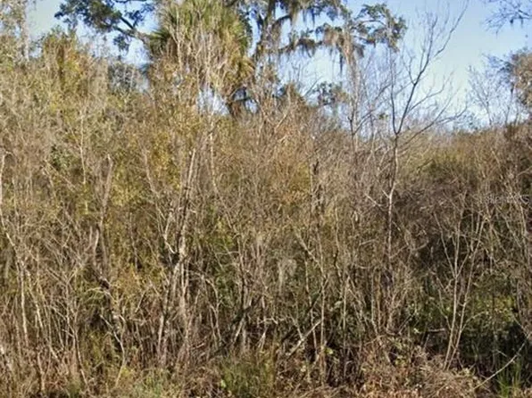 Dallas Boulevard Lot #4, Orlando, FL 32833