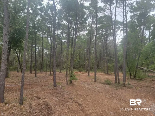 0 Primrose Ln, Gulf Shores, AL 36542