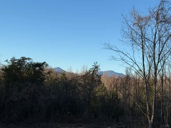 0 Link Rd, Bedford, VA 24523