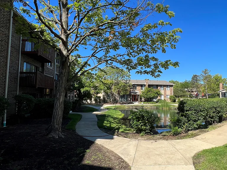 Arrowhead — Photo 26
