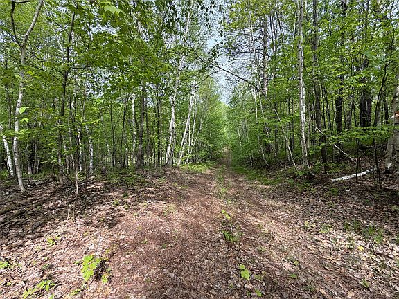 3rd image of Lot 4 Peterson Road