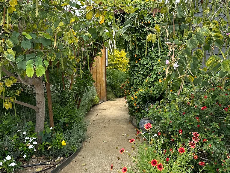 Pathway & Mature Landscaping