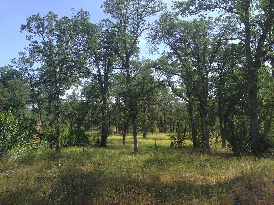 1st image of Squaw Grass Trl