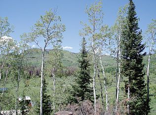 61550 Cottonwood St, Clark, CO 80428
