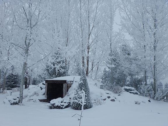 Root Cellar in winter