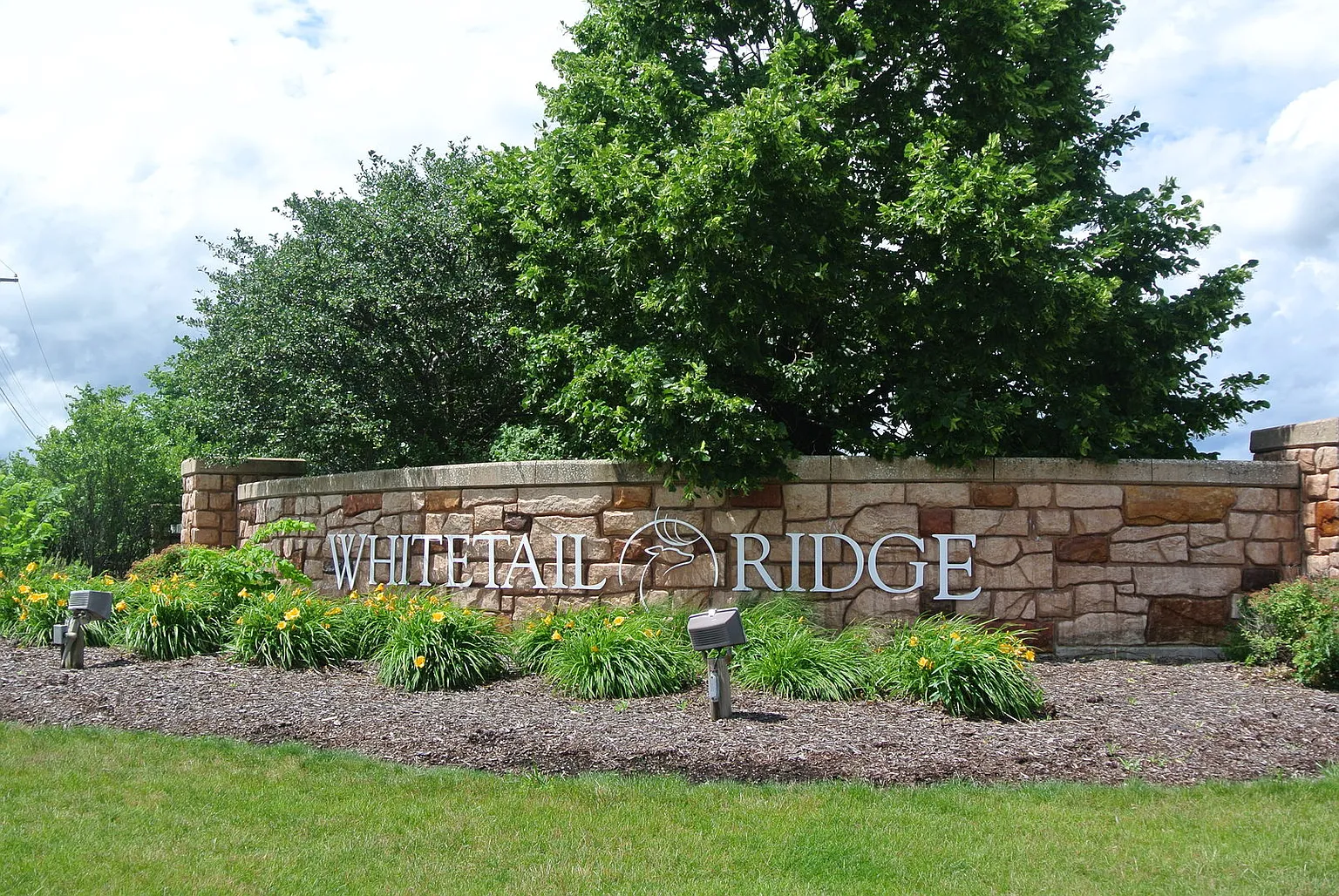 7814 Bentgrass Cir photo 1