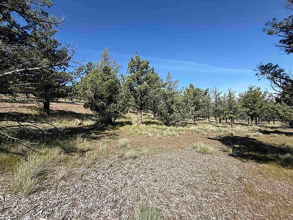 4th image of LOT 25 Palomino Rd