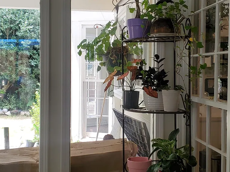 2210 Eagle Nest Blf — Photo 2