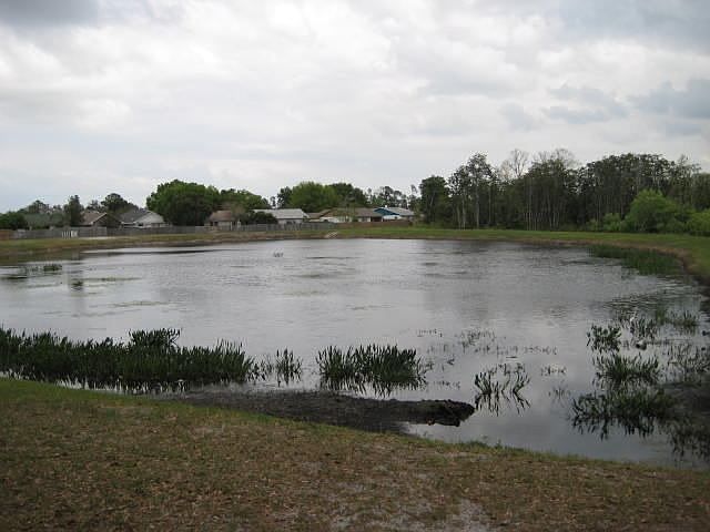 Rear View of Pond 