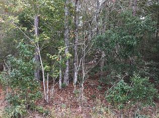 Credit Hill Rd SW, Townsend, GA 31331