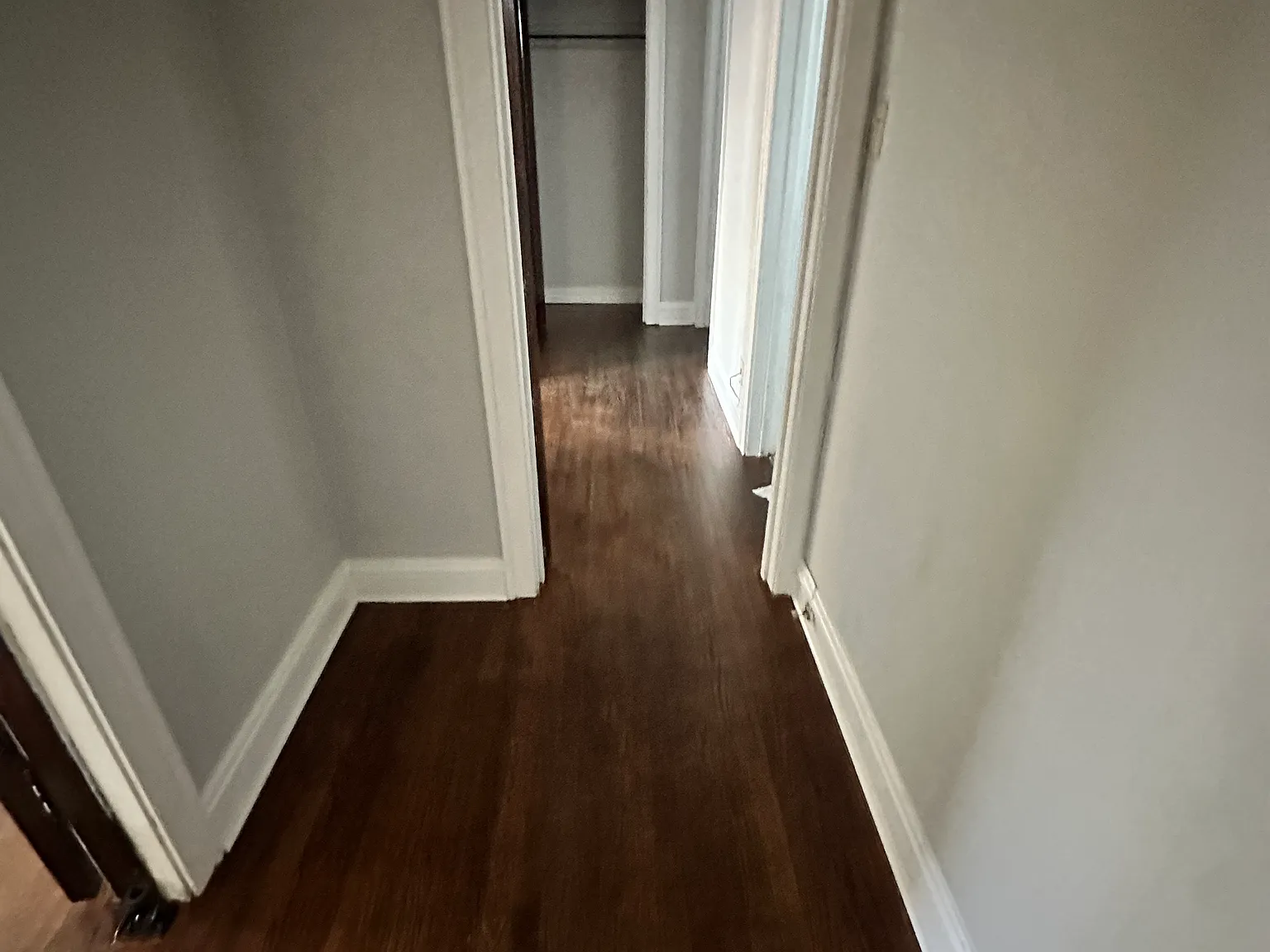 Studio, 700 sqft, $935 — Photo 4