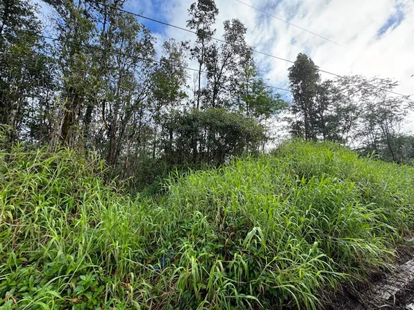 16-2017 Paradise Dr Lot 43, Keaau, HI 96749