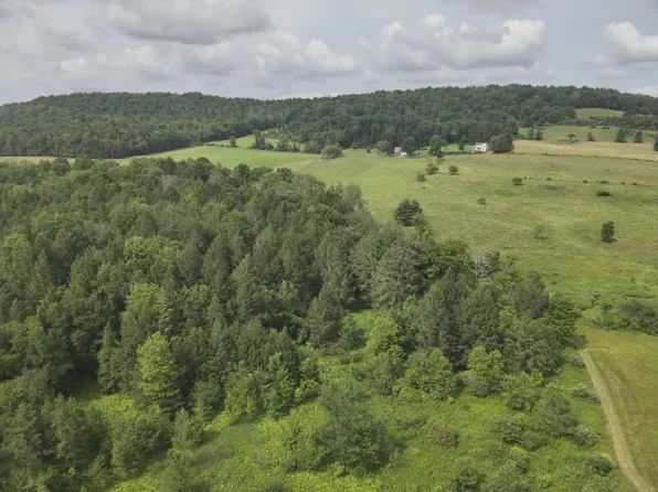 0 Canfield Rd, Damascus, PA 18415