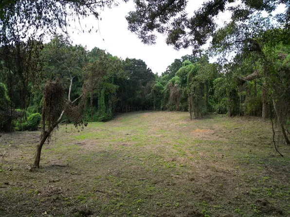 Grace Dr, Jasper, AL 35504