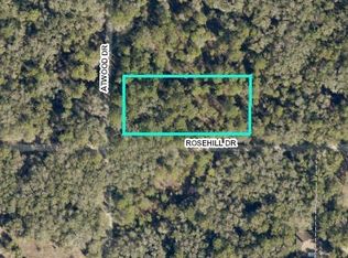 0 Atwood Dr, Brooksville, FL 34602