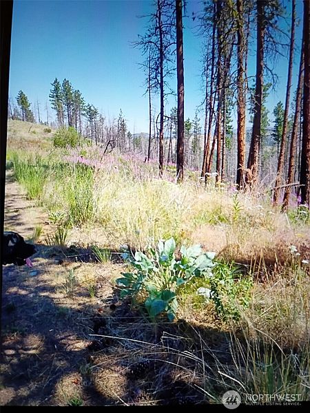 5th image of 111 TBD J H Green RD