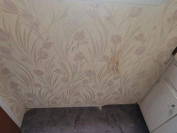 2nd image of 10624 Maribeth Pl