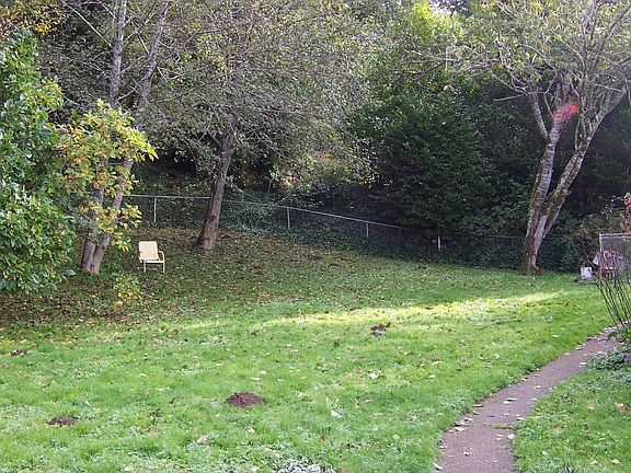 Back yard w/walkway