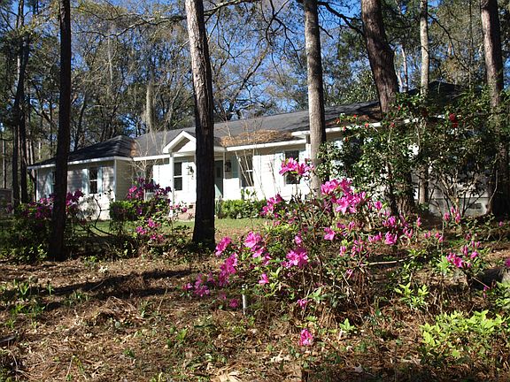 Azealeas in bloom