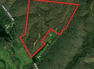 0 Trace Creek Rd, Hohenwald, TN 38462