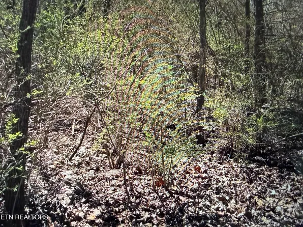 0 Tenth Knight, Crossville, TN 38555