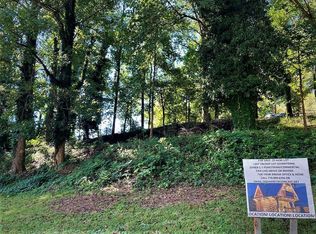 31 Petes Park Rd, Helen, GA 30545