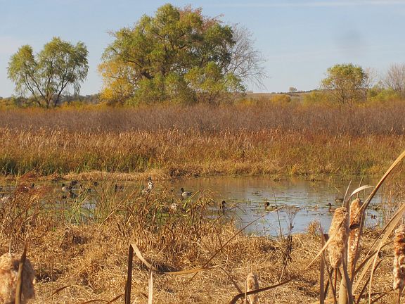 5th image of Niobrara Riv