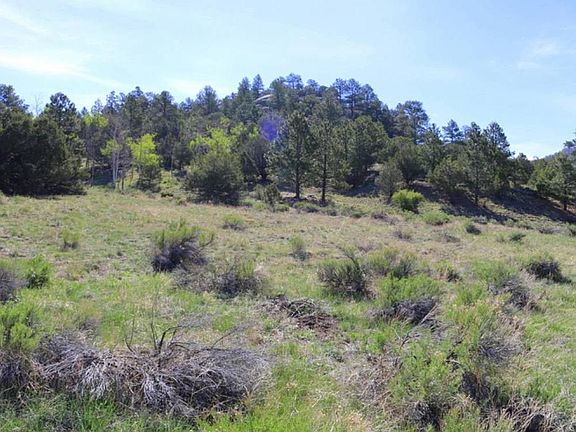 3rd image of 2313 County Road 260
