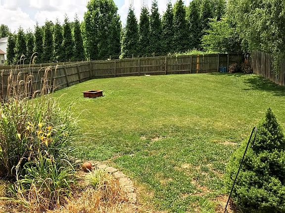 View of Large Back Yard