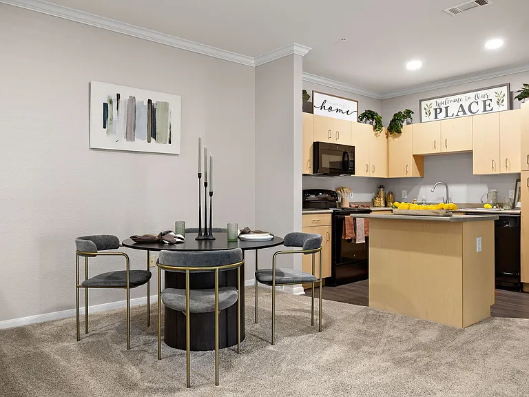 Artisan Apartments & Shops in Austin Texas