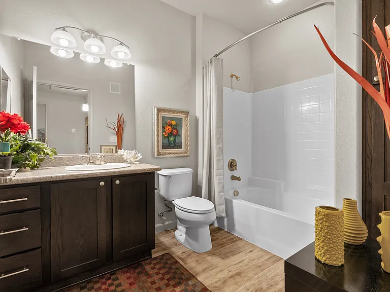 Bathroom view from entry door