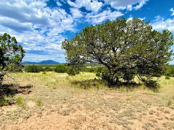 6 Cougar Ct, Tijeras, NM 87059