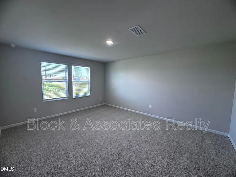 62 Thistle Patch Pl — Photo 16