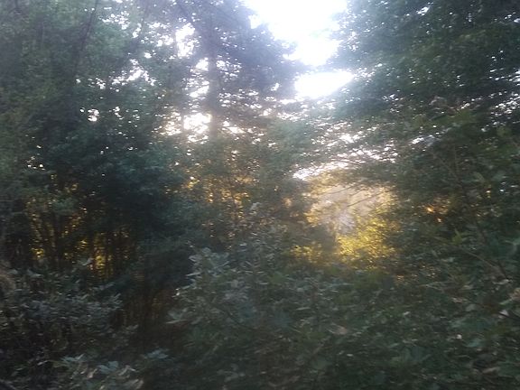 Filtered North Coast views. 