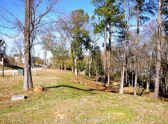 5th image of 248 Congaree Park Dr